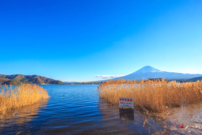 Scenic view of lake against blue sky