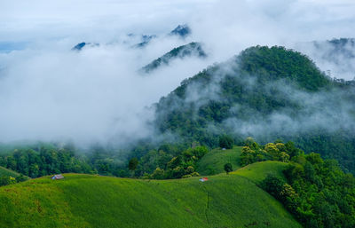 Scenic view of trees on field against sky