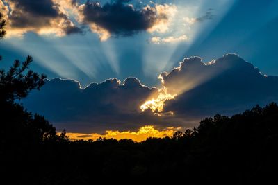 Low angle view of silhouette trees against sky during sunset