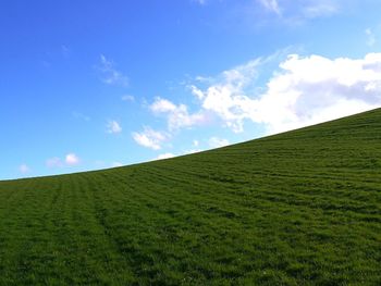 Scenic view of grassy field against sky