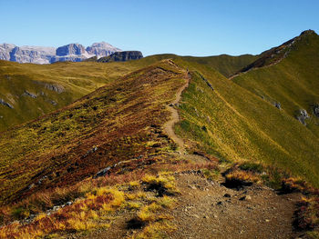 Scenic view of landscape against clear sky