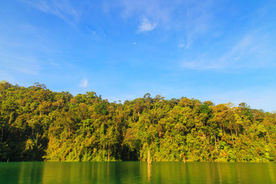 Scenic view of lake by trees against sky