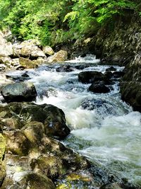 Stream flowing through rocks in forest