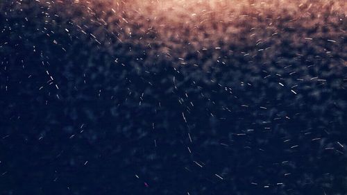 Full frame shot of tree