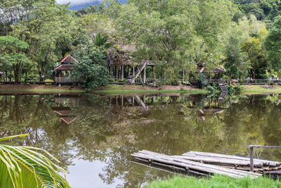 Scenic view of lake in forest