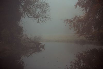 Scenic view of lake in forest against sky