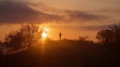 Silhouette person standing by trees against sky during sunset