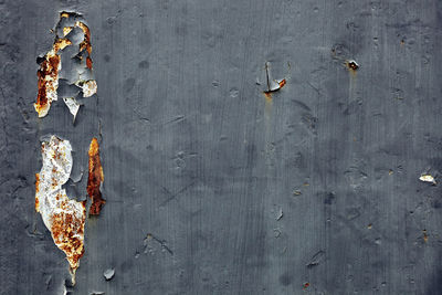 High angle view of dry leaves on table against wall