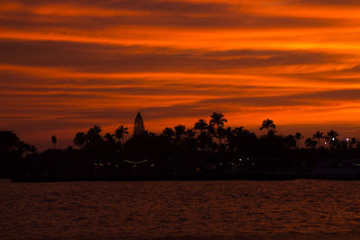 Colorful sunset with the silhouette of a tree in the foreground. photo taken big island, hawaii