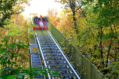 Railroad tracks amidst trees during autumn