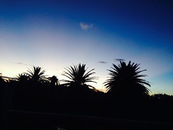 Low angle view of silhouette palm trees against sky