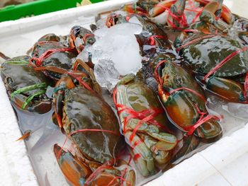 High angle view of fish for sale