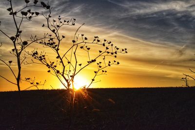 Scenic view of silhouette field against sky during sunset