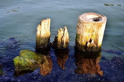 High angle view of rocks in lake