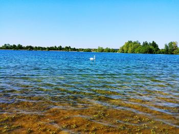 Scenic view of lake against clear blue sky