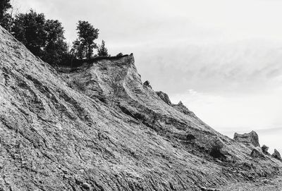 Low angle view of tree on mountain against sky