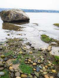 Stones in sea