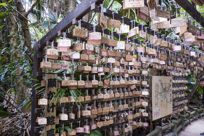 Stack of logs hanging in a forest