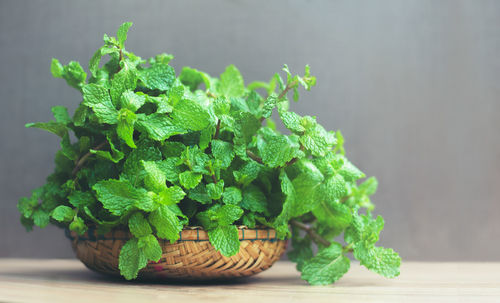 Close-up of green leaves in basket on table