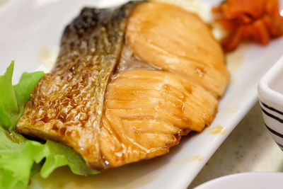 Close-up of meal served in plate