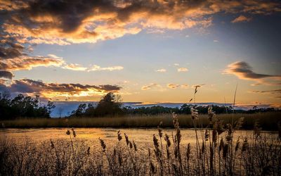 Scenic view of landscape at sunset