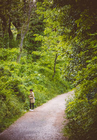 Woman standing on footpath in forest