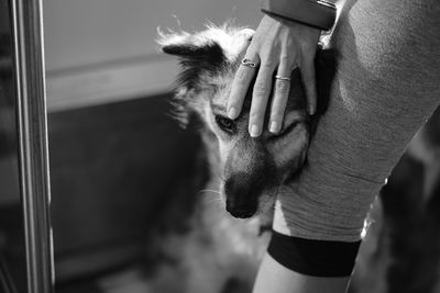 Close-up of hand holding hands at home