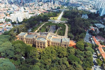 High angle view of trees and buildings in city