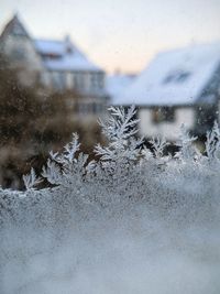 Snow covered buildings seen through glass window