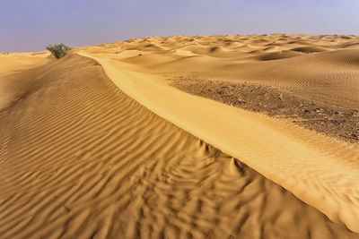 Sand dunes in desert against sky