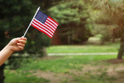 Cropped hand holding american flag at park