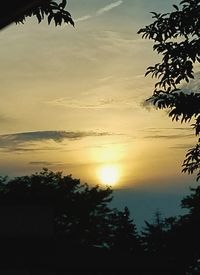 Silhouette trees against sky during sunset