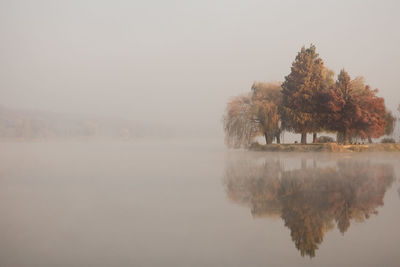 Reflection of trees in lake against sky during foggy weather
