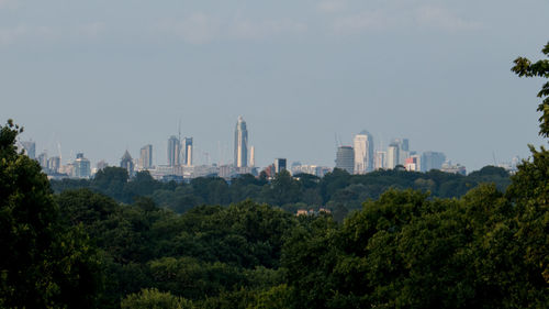 Trees in city against sky