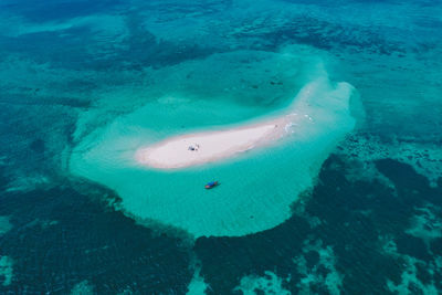 Low section of person swimming in sea