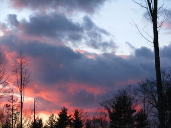 Low angle view of trees against dramatic sky