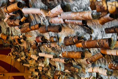 wood