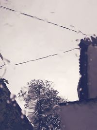 Low angle view of silhouette plants against sky