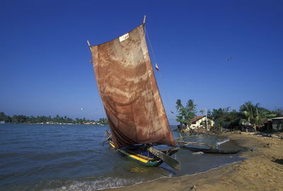 Sailboats moored at beach against clear blue sky