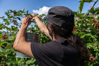 Rear view of woman photographing through mobile phone