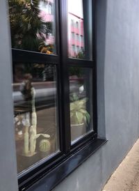 Close-up of glass window