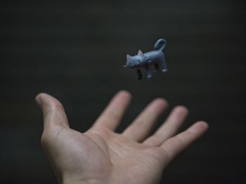 Cropped hand of man reaching toy against wall