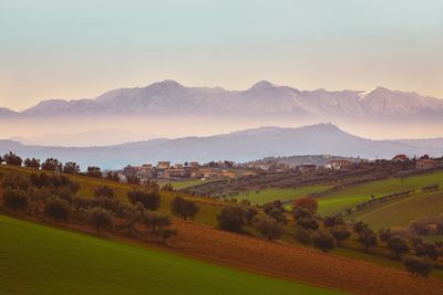 Scenic view of agricultural field against sky during sunset