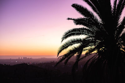 Silhouette palm tree against romantic sky at sunset