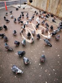 High angle view of people on street