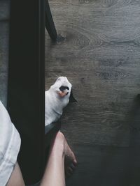 Low section of man with dog sitting on lake