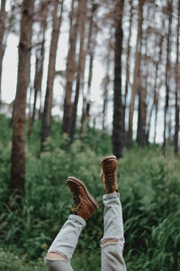 Low section of person with feet up in forest