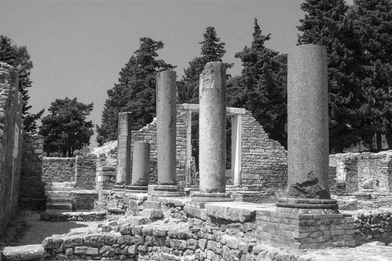 STONE STRUCTURE AGAINST TREES