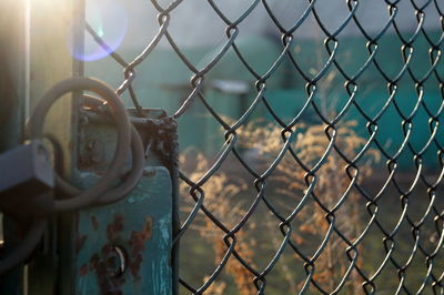 Close-up of fence