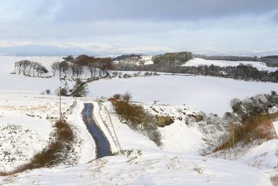 Trees on snow covered landscape against sky